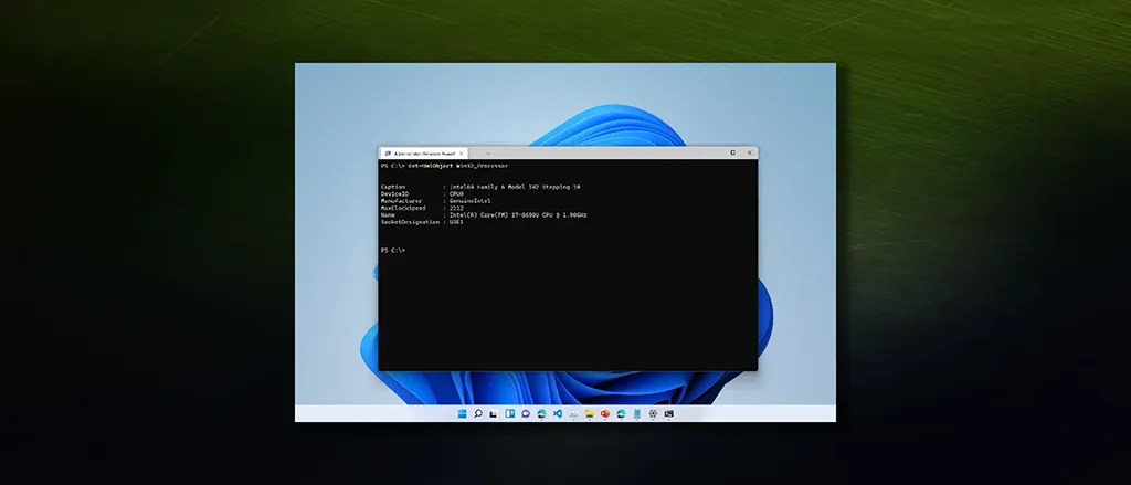 Processor Information